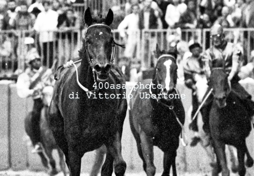 Palio di Asti anno 1994