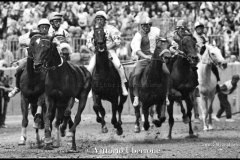 18 settembre 1994 Palio di Asti vinto da Moncalvo 
- © Vittorio Ubertone - 
www.400asa.photo - 
www.saporidelpiemonte.net