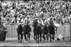 18 settembre 1994 Palio di Asti vinto da Moncalvo 
- © Vittorio Ubertone - 
www.400asa.photo - 
www.saporidelpiemonte.net