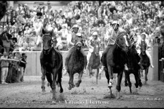 18 settembre 1994 Palio di Asti vinto da Moncalvo 
- © Vittorio Ubertone - 
www.400asa.photo - 
www.saporidelpiemonte.net