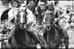 18 settembre 1994 Palio di Asti vinto da Moncalvo 
- © Vittorio Ubertone - 
www.400asa.photo - 
www.saporidelpiemonte.net