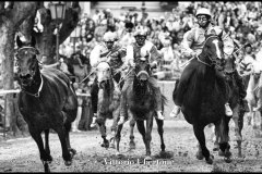 18 settembre 1994 Palio di Asti vinto da Moncalvo 
- © Vittorio Ubertone - 
www.400asa.photo - 
www.saporidelpiemonte.net