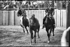 18 settembre 1994 Palio di Asti vinto da Moncalvo 
- © Vittorio Ubertone - 
www.400asa.photo - 
www.saporidelpiemonte.net