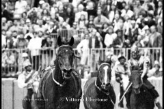 18 settembre 1994 Palio di Asti vinto da Moncalvo 
- © Vittorio Ubertone - 
www.400asa.photo - 
www.saporidelpiemonte.net