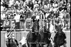 18 settembre 1994 Palio di Asti vinto da Moncalvo 
- © Vittorio Ubertone - 
www.400asa.photo - 
www.saporidelpiemonte.net