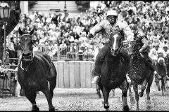 18 settembre 1994 Palio di Asti vinto da Moncalvo 
- © Vittorio Ubertone - 
www.400asa.photo - 
www.saporidelpiemonte.net