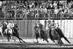 18 settembre 1994 Palio di Asti vinto da Moncalvo 
- © Vittorio Ubertone - 
www.400asa.photo - 
www.saporidelpiemonte.net