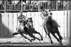 18 settembre 1994 Palio di Asti vinto da Moncalvo 
- © Vittorio Ubertone - 
www.400asa.photo - 
www.saporidelpiemonte.net