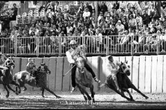 18 settembre 1994 Palio di Asti vinto da Moncalvo 
- © Vittorio Ubertone - 
www.400asa.photo - 
www.saporidelpiemonte.net