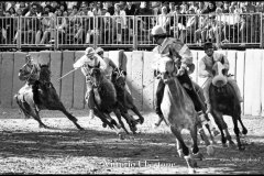 18 settembre 1994 Palio di Asti vinto da Moncalvo 
- © Vittorio Ubertone - 
www.400asa.photo - 
www.saporidelpiemonte.net