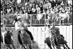 18 settembre 1994 Palio di Asti vinto da Moncalvo 
- © Vittorio Ubertone - 
www.400asa.photo - 
www.saporidelpiemonte.net