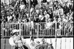 18 settembre 1994 Palio di Asti vinto da Moncalvo 
- © Vittorio Ubertone - 
www.400asa.photo - 
www.saporidelpiemonte.net