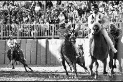 18 settembre 1994 Palio di Asti vinto da Moncalvo 
- © Vittorio Ubertone - 
www.400asa.photo - 
www.saporidelpiemonte.net