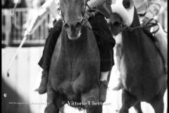 18 settembre 1994 Palio di Asti vinto da Moncalvo 
- © Vittorio Ubertone - 
www.400asa.photo - 
www.saporidelpiemonte.net