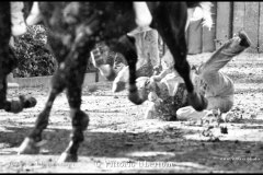 18 settembre 1994 Palio di Asti vinto da Moncalvo 
- © Vittorio Ubertone - 
www.400asa.photo - 
www.saporidelpiemonte.net