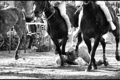 18 settembre 1994 Palio di Asti vinto da Moncalvo 
- © Vittorio Ubertone - 
www.400asa.photo - 
www.saporidelpiemonte.net