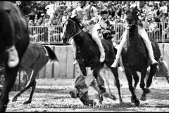 18 settembre 1994 Palio di Asti vinto da Moncalvo 
- © Vittorio Ubertone - 
www.400asa.photo - 
www.saporidelpiemonte.net