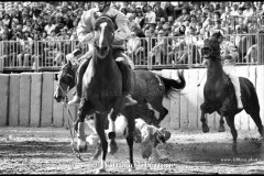 18 settembre 1994 Palio di Asti vinto da Moncalvo 
- © Vittorio Ubertone - 
www.400asa.photo - 
www.saporidelpiemonte.net