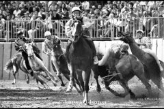 18 settembre 1994 Palio di Asti vinto da Moncalvo 
- © Vittorio Ubertone - 
www.400asa.photo - 
www.saporidelpiemonte.net