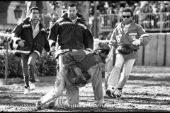 18 settembre 1994 Palio di Asti vinto da Moncalvo 
- © Vittorio Ubertone - 
www.400asa.photo - 
www.saporidelpiemonte.net