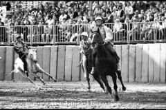 18 settembre 1994 Palio di Asti vinto da Moncalvo 
- © Vittorio Ubertone - 
www.400asa.photo - 
www.saporidelpiemonte.net