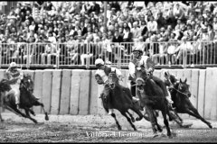 18 settembre 1994 Palio di Asti vinto da Moncalvo 
- © Vittorio Ubertone - 
www.400asa.photo - 
www.saporidelpiemonte.net