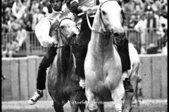 18 settembre 1994 Palio di Asti vinto da Moncalvo 
- © Vittorio Ubertone - 
www.400asa.photo - 
www.saporidelpiemonte.net