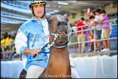 PALIO DI ASTI anno 2023 - 1 settembre 2023 piazza Alfieri Prove cavalli - fotografia di Vittorio Ubertone  https://www.400asa.photo - http://www.saporidelpiemonte.net