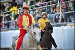 PALIO DI ASTI anno 2023 - 1 settembre 2023 piazza Alfieri Prove cavalli - fotografia di Vittorio Ubertone  https://www.400asa.photo - http://www.saporidelpiemonte.net