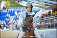 PALIO DI ASTI anno 2023 - 1 settembre 2023 piazza Alfieri Prove cavalli - fotografia di Vittorio Ubertone  https://www.400asa.photo - http://www.saporidelpiemonte.net