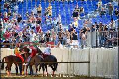 PALIO DI ASTI anno 2023 - 1 settembre 2023 piazza Alfieri Prove cavalli - fotografia di Vittorio Ubertone  https://www.400asa.photo - http://www.saporidelpiemonte.net