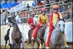 PALIO DI ASTI anno 2023 - 1 settembre 2023 piazza Alfieri Prove cavalli - fotografia di Vittorio Ubertone  https://www.400asa.photo - http://www.saporidelpiemonte.net