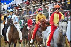 PALIO DI ASTI anno 2023 - 1 settembre 2023 piazza Alfieri Prove cavalli - fotografia di Vittorio Ubertone  https://www.400asa.photo - http://www.saporidelpiemonte.net