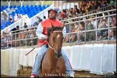 PALIO DI ASTI anno 2023 - 1 settembre 2023 piazza Alfieri Prove cavalli - fotografia di Vittorio Ubertone  https://www.400asa.photo - http://www.saporidelpiemonte.net