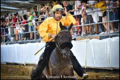 PALIO DI ASTI anno 2023 - 1 settembre 2023 piazza Alfieri Prove cavalli - fotografia di Vittorio Ubertone  https://www.400asa.photo - http://www.saporidelpiemonte.net