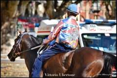 PALIO DI ASTI anno 2023 - 1 settembre 2023 piazza Alfieri Prove cavalli - fotografia di Vittorio Ubertone  https://www.400asa.photo - http://www.saporidelpiemonte.net