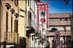 PALIO DI ASTI anno 2023 - 1 settembre 2023 piazza Alfieri Prove cavalli - fotografia di Vittorio Ubertone  https://www.400asa.photo - http://www.saporidelpiemonte.net