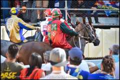 PALIO DI ASTI anno 2023 - 2 settembre 2023 piazza Alfieri Prove generali del Palio - fotografia di Vittorio Ubertone  https://www.400asa.photo - http://www.saporidelpiemonte.net