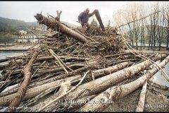 11/1994 Alluvione ad Asti e provincia © Vittorio Ubertone - www.400asa.photo - 
www.saporidelpiemonte.net