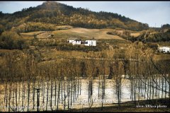 11/1994 Alluvione ad Asti e provincia © Vittorio Ubertone - www.400asa.photo - 
www.saporidelpiemonte.net