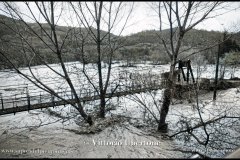 11/1994 Alluvione ad Asti e provincia © Vittorio Ubertone - www.400asa.photo - 
www.saporidelpiemonte.net