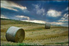 fotografia di Vittorio Ubertone