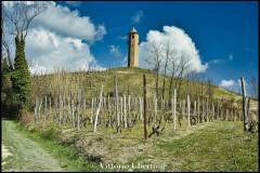 fotografia di Vittorio Ubertone