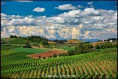 fotografia di Vittorio Ubertone