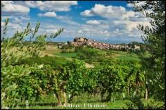 fotografia di Vittorio Ubertone