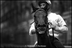 Fantini e Cavalli al Palio di Asti - fotografia di Vittorio Ubertone