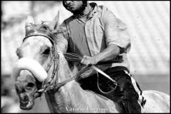 Fantini e Cavalli al Palio di Asti - fotografia di Vittorio Ubertone