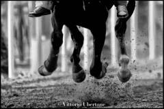 Fantini e Cavalli al Palio di Asti - fotografia di Vittorio Ubertone