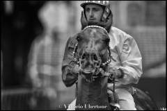 Fantini e Cavalli al Palio di Asti - fotografia di Vittorio Ubertone