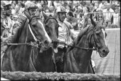 Fantini e Cavalli al Palio di Asti - fotografia di Vittorio Ubertone